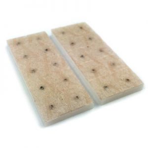 Ear Seeds
