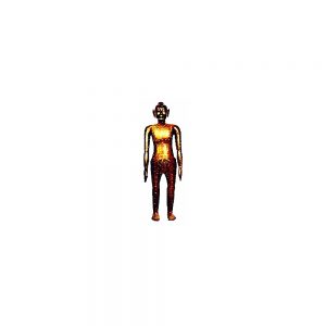 65" Model of Human Body, clad in copper